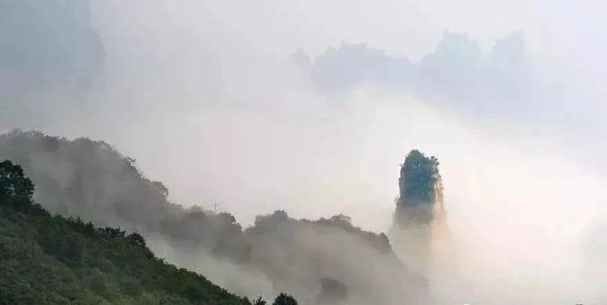 谷雨初晴|春雨后，云雾中，新乡南太行美出了新高度！