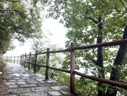 谷雨初晴|春雨后，云雾中，新乡南太行美出了新高度！