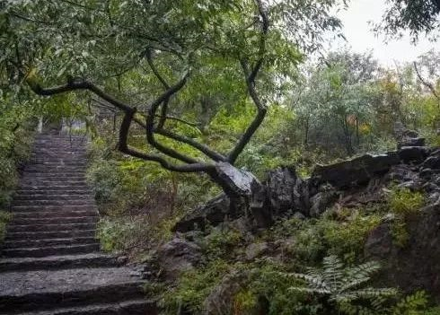 谷雨初晴|春雨后，云雾中，新乡南太行美出了新高度！