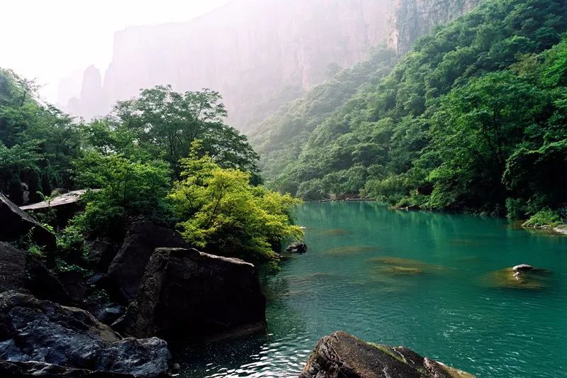 风长气阔，绿意染衣，初夏的八里沟正可人！