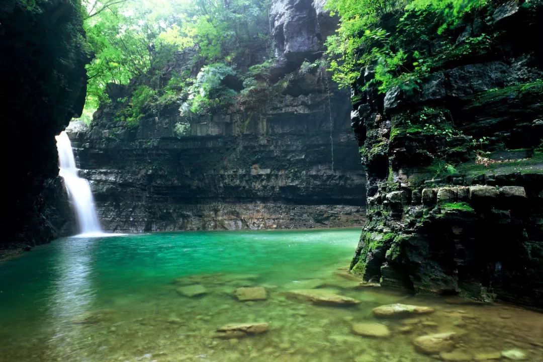 风长气阔，绿意染衣，初夏的八里沟正可人！