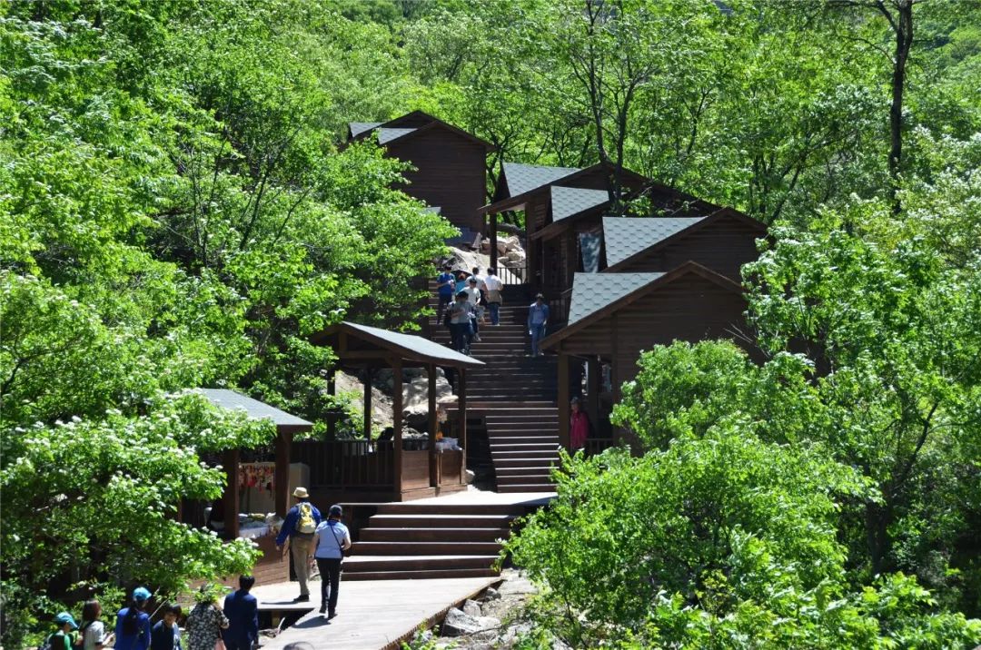 “清幽山乡”南坪，给你一个不一样的万仙山！