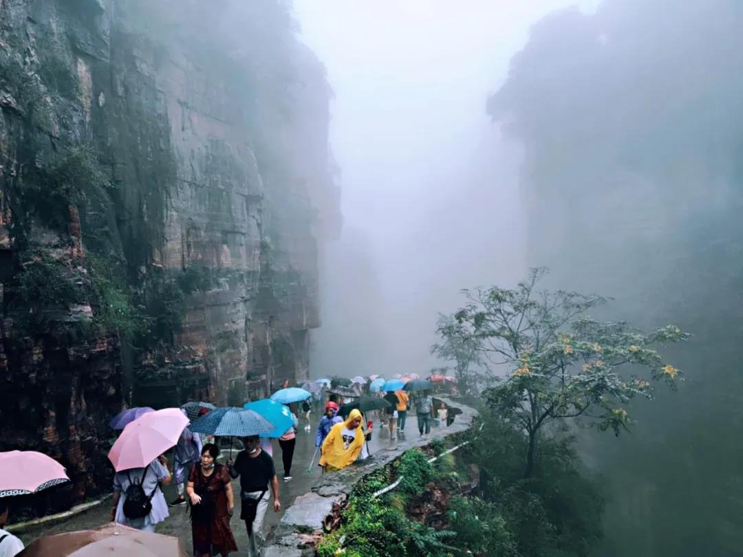震惊！新乡南太行开启“看海”模式，瀑布成群美如画！