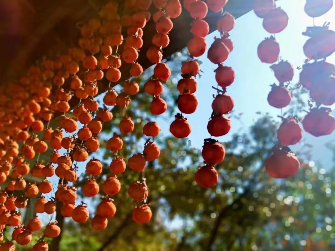 来了来了！新乡南太行旅游度假区教师节期间免门票啦！