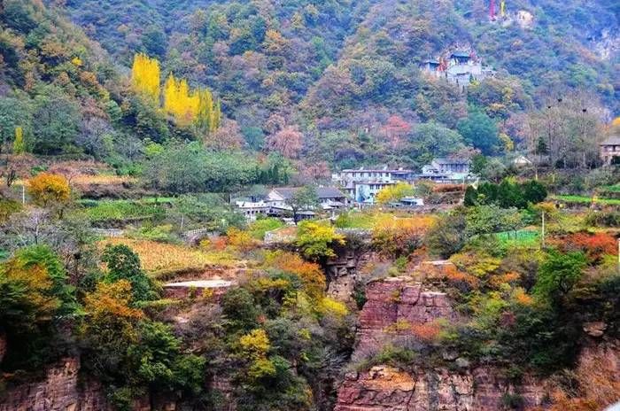 又是赏秋好时节|秋子送风凉，青山上红妆~