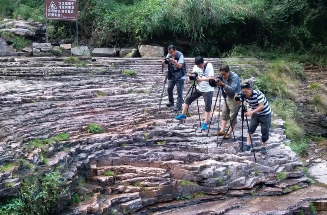 世界濒危物种惊现新乡南太行八里沟景区