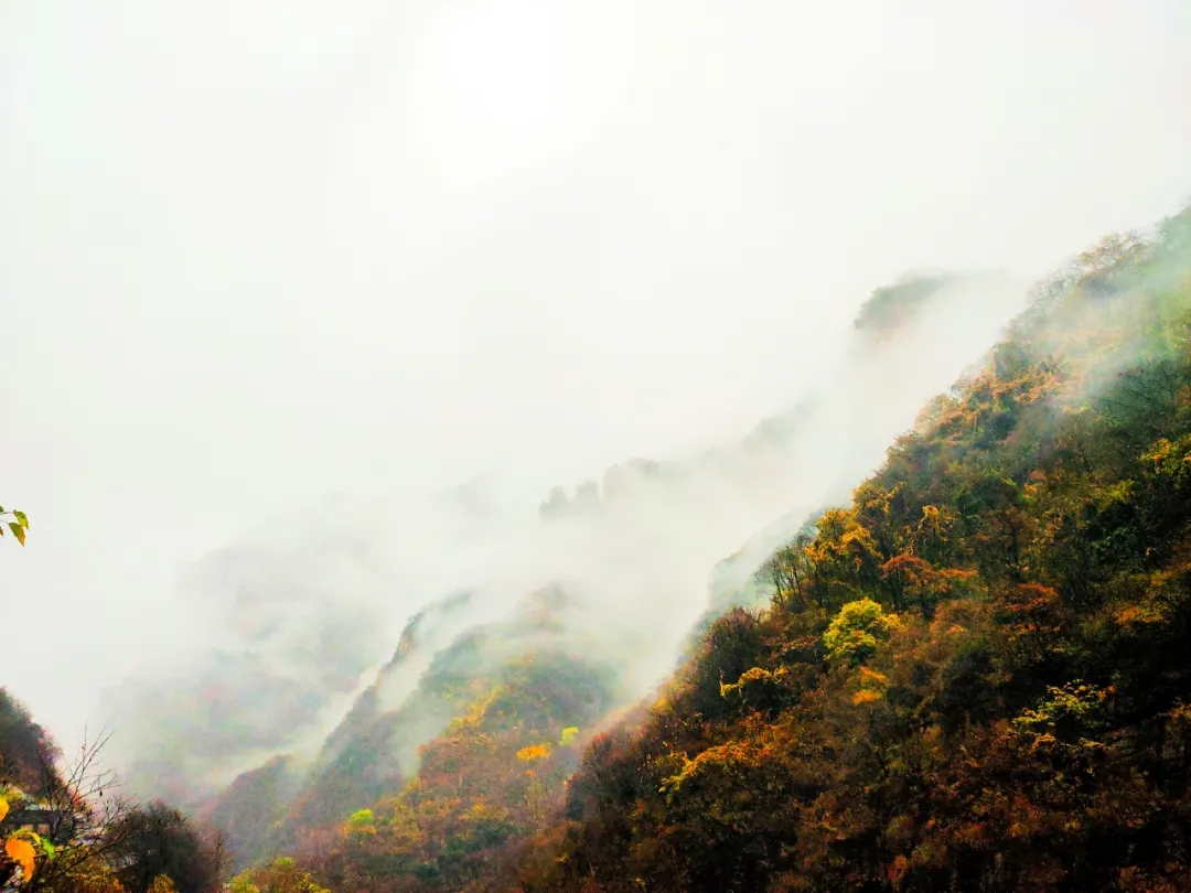 在树叶即将落尽的时节，雨后的新乡南太行别有一番韵味！