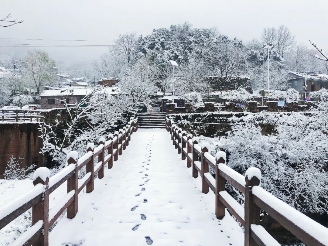 万仙山初雪霸屏，美翻了！