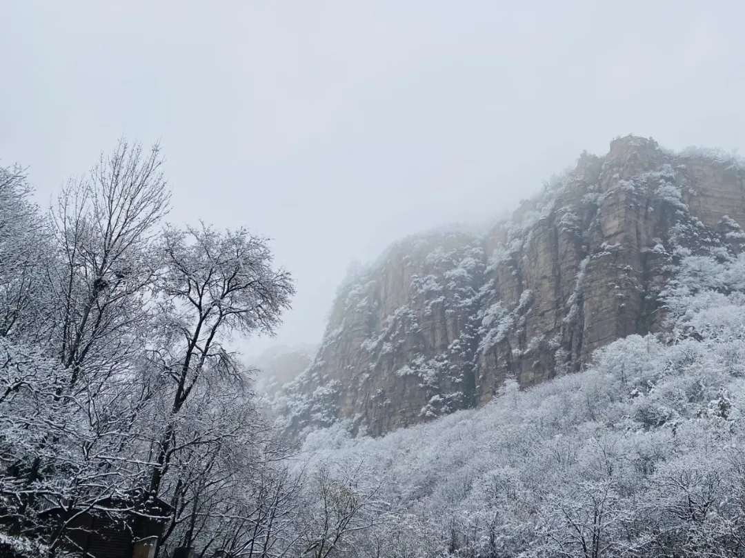 万仙山初雪霸屏，美翻了！