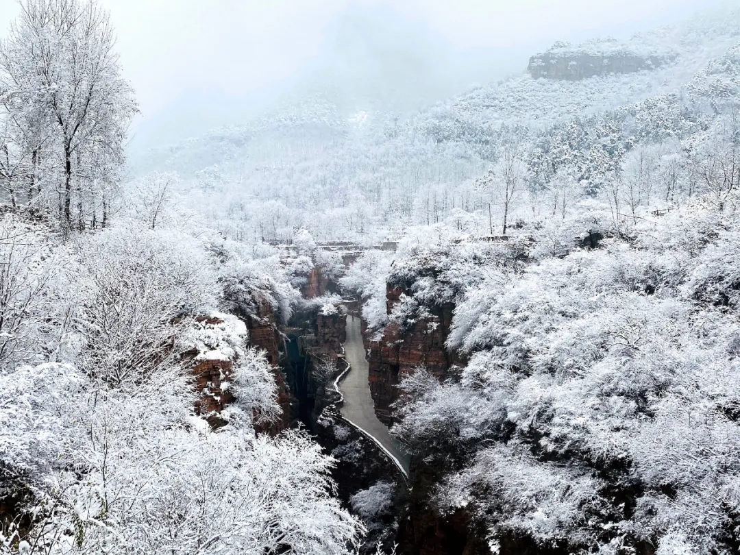 错过就是遗憾，新乡南太行赏雪大军速度集合啦！