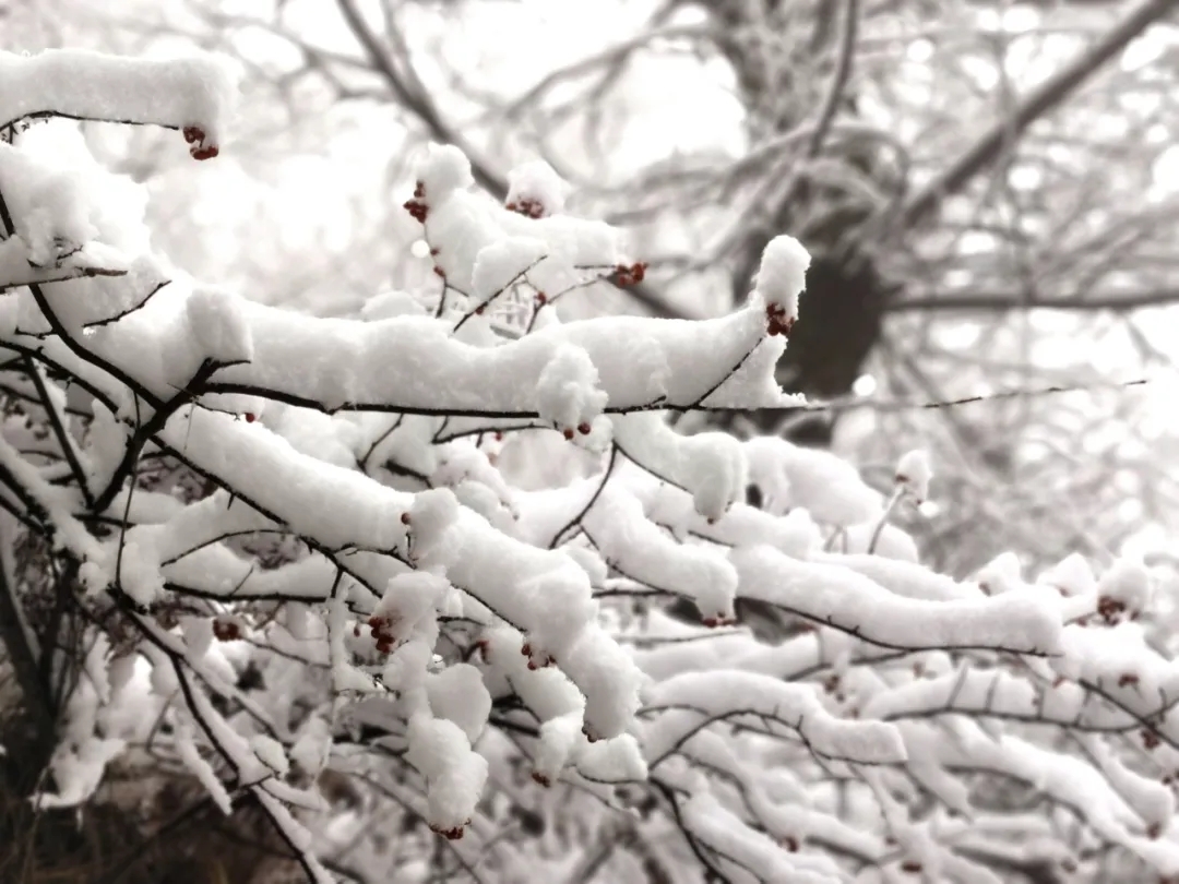 错过就是遗憾，新乡南太行赏雪大军速度集合啦！