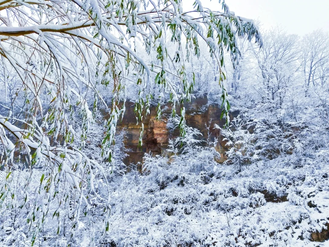 共赴新乡南太行，来一场赏雪之旅吧！