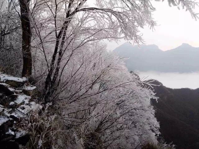 藏不住了！这里的冬日有你看不完的美景！！