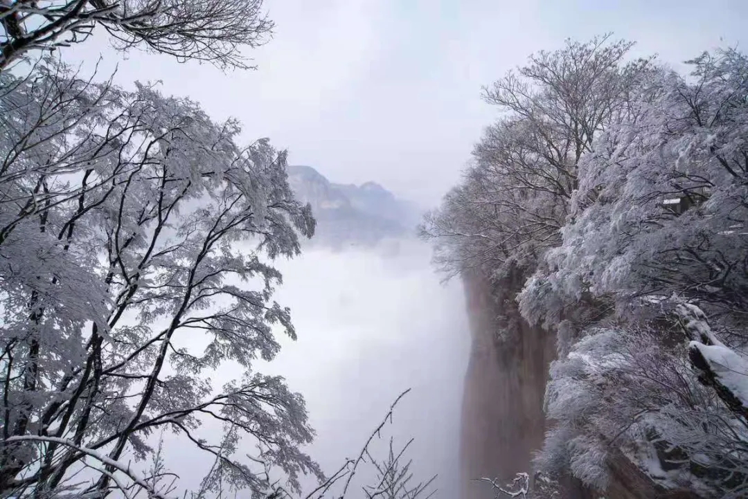 2021年的第一场雪，这里又变成了童话般的世界......