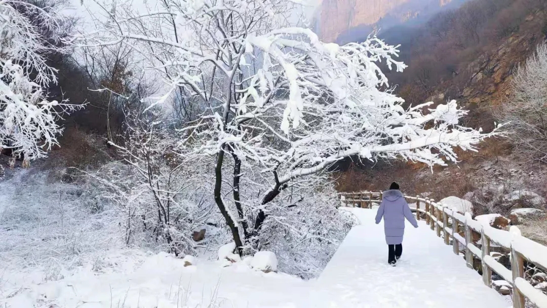 2021年的第一场雪，这里又变成了童话般的世界......
