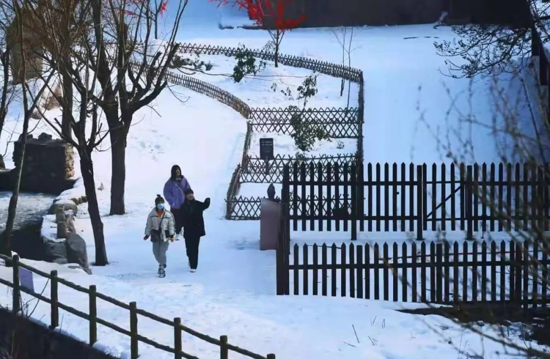 2021年的第一场雪，这里又变成了童话般的世界......