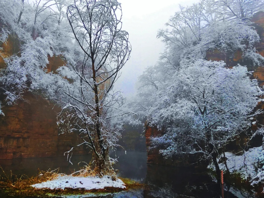 2021|开启你的梦幻之旅，来新乡南太行观赏一场冰雪盛宴吧！