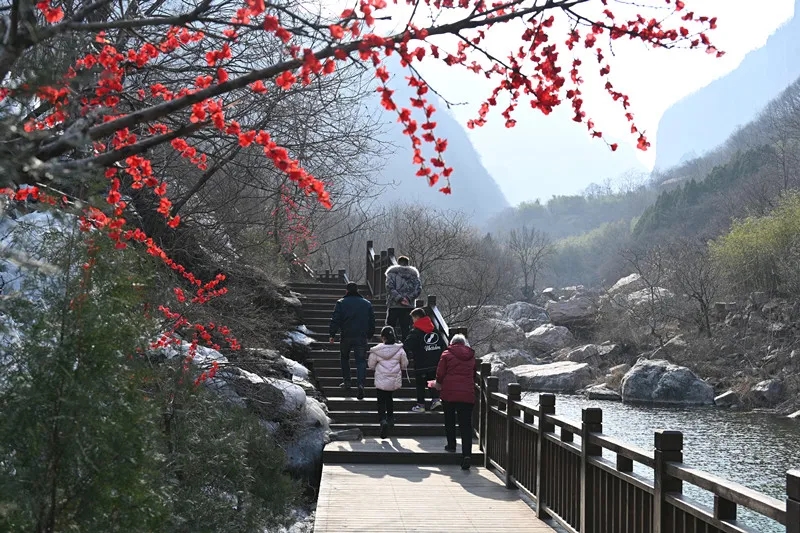 【大年初一】新乡南太行旅游有限公司恭祝全国人民新年快乐！