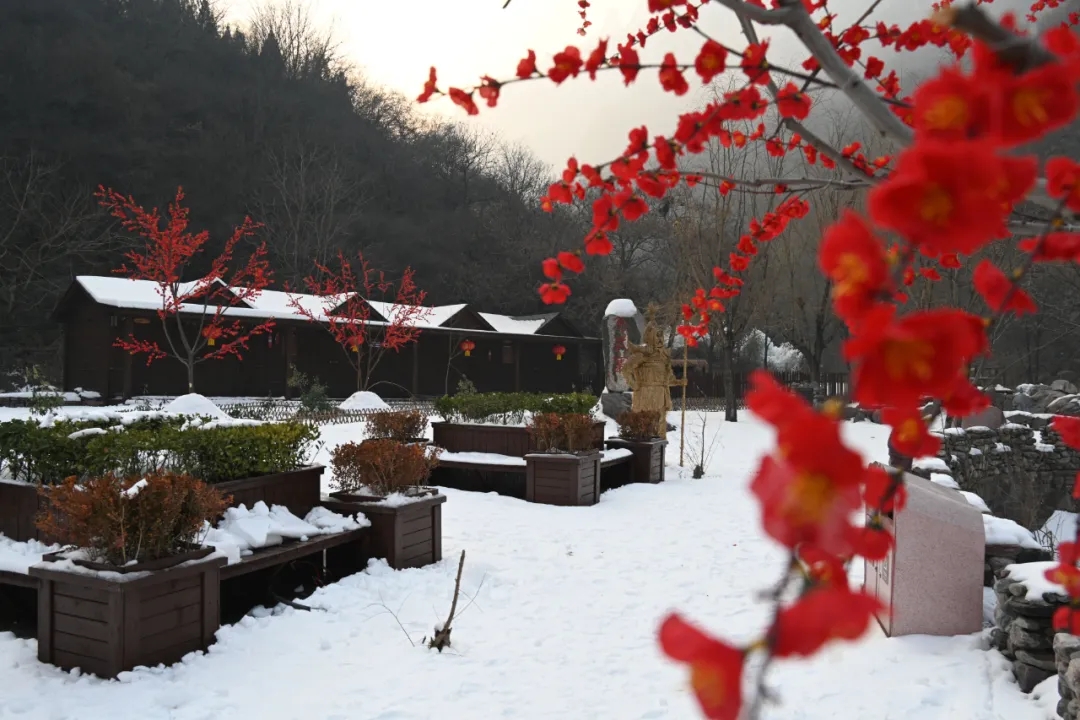 【大年初一】新乡南太行旅游有限公司恭祝全国人民新年快乐！