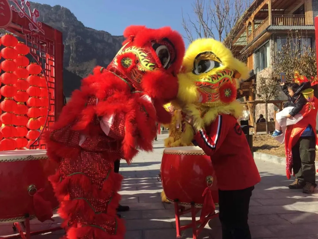 牛“趣”十足！新乡南太行景区趣乐无穷，就地过年年味浓！