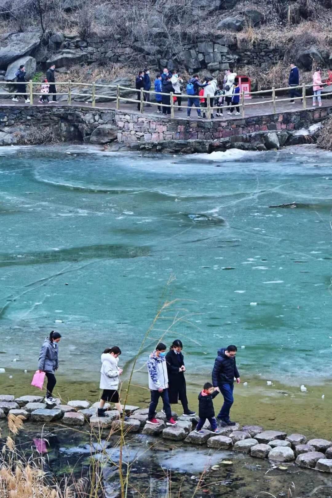 牛“趣”十足！新乡南太行景区趣乐无穷，就地过年年味浓！