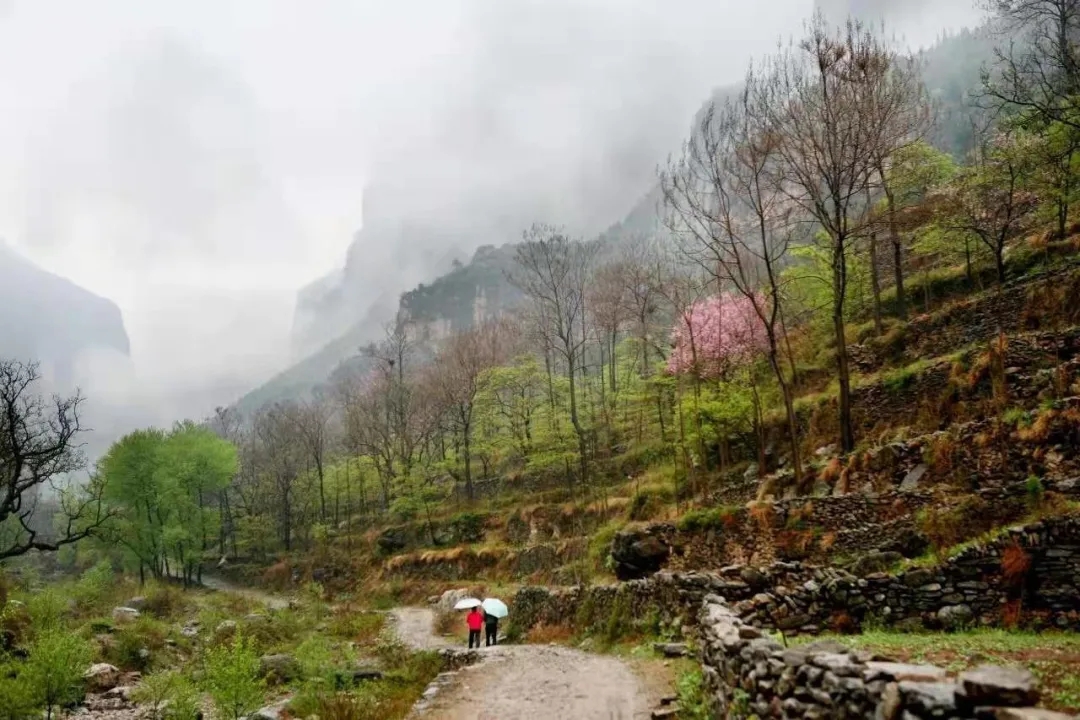 春雨如烟，春意渐浓|春雨邂逅新乡南太行，美如仙境！