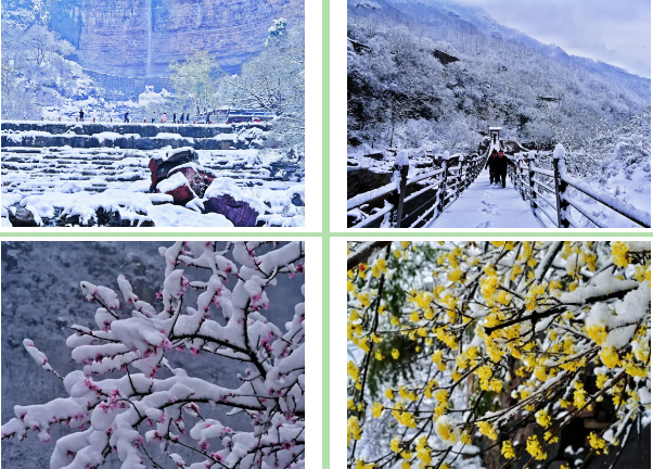 初春遇初雪，走进新乡南太行，共赏春日繁华！