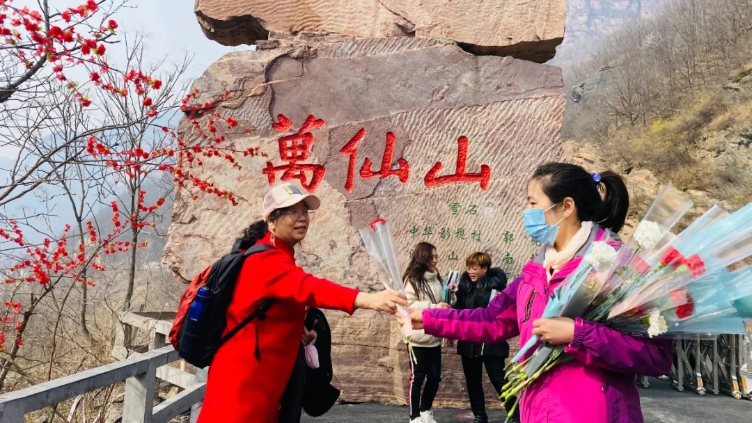 三八女神节所有女士免门票！当桃花遇上连翘，快和她一起来踏春赏花吧！