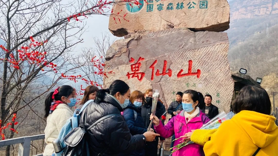 三八女神节所有女士免门票！当桃花遇上连翘，快和她一起来踏春赏花吧！