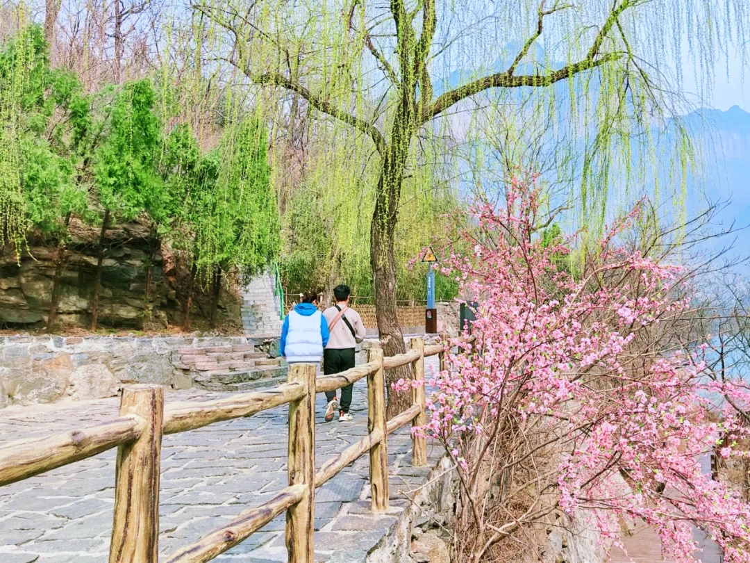 三月女神节|这个春天“游”点甜，新乡南太行旅游景区拿实力宠你！