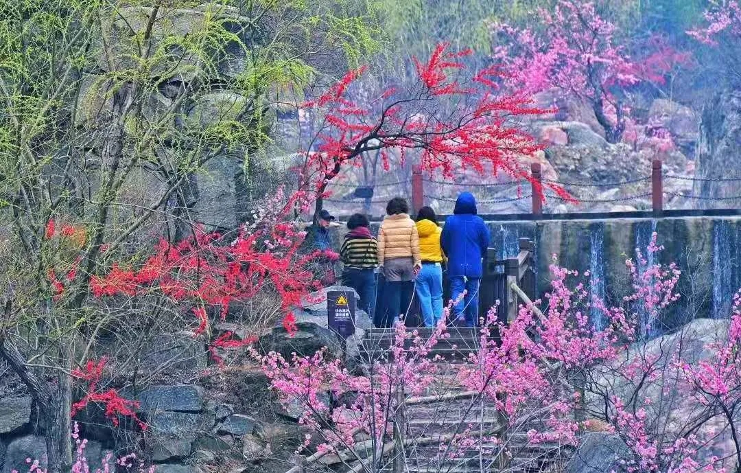 三月女神节|这个春天“游”点甜，新乡南太行旅游景区拿实力宠你！