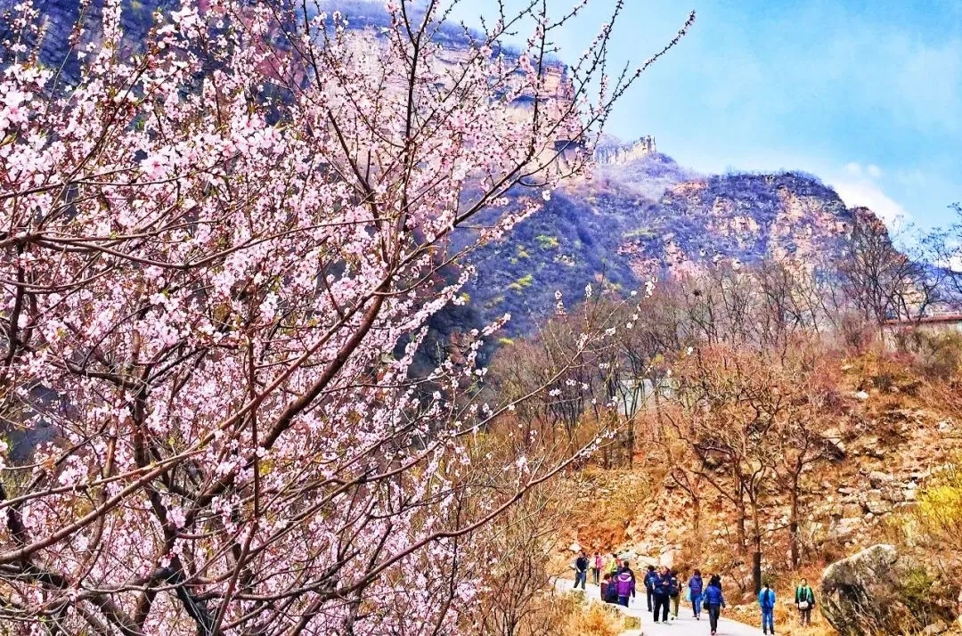 【女神月优惠】浪漫女神月，赏春南太行，快来和姐妹们赴一场春日约会吧~