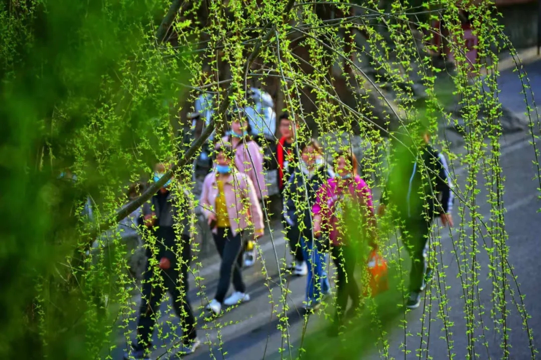 “女神节”优惠活动来袭，邂逅最美三月天！