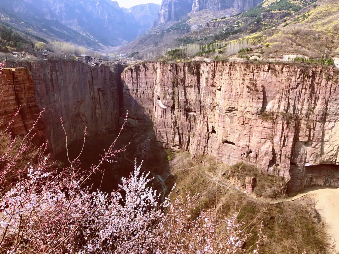 新乡南太行|林木迎风吐翠绿,春日郭亮斗芳菲! 新乡南太行|林木迎风吐翠绿,春日郭亮斗芳菲!