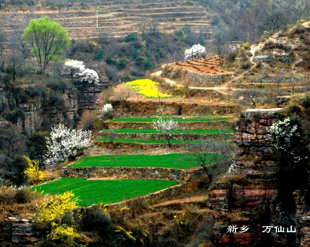 新乡南太行|林木迎风吐翠绿,春日郭亮斗芳菲! 新乡南太行|林木迎风吐翠绿,春日郭亮斗芳菲!