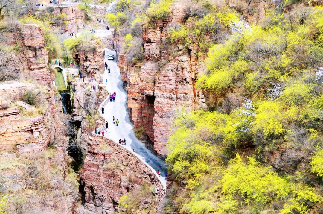 新乡南太行|林木迎风吐翠绿,春日郭亮斗芳菲! 新乡南太行|林木迎风吐翠绿,春日郭亮斗芳菲!