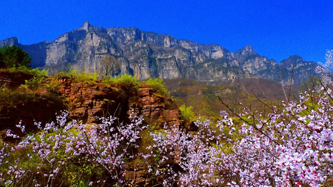 新乡南太行|林木迎风吐翠绿,春日郭亮斗芳菲! 新乡南太行|林木迎风吐翠绿,春日郭亮斗芳菲!