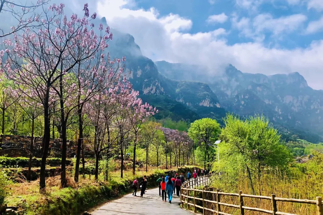 新乡南太行|林木迎风吐翠绿,春日郭亮斗芳菲! 新乡南太行|林木迎风吐翠绿,春日郭亮斗芳菲!