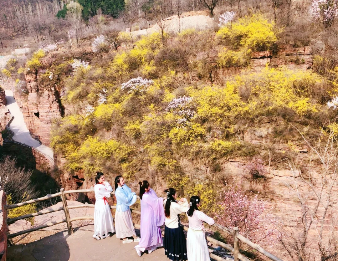 新乡南太行|林木迎风吐翠绿,春日郭亮斗芳菲! 新乡南太行|林木迎风吐翠绿,春日郭亮斗芳菲!