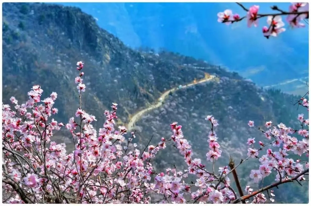 春渐暖，花渐开，新乡南太行邀你共赴春之约！