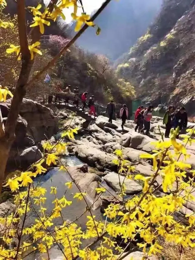 春渐暖，花渐开，新乡南太行邀你共赴春之约！