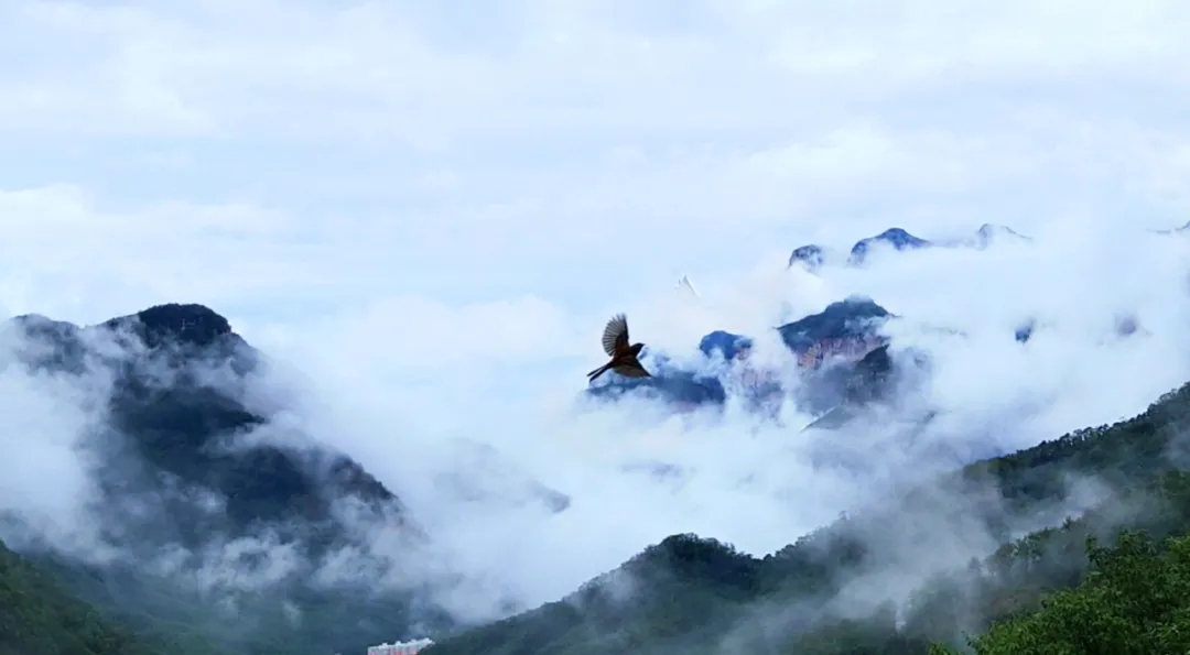 找一个雨后初晴的日子，来南太行邂逅最美云海奇观吧！