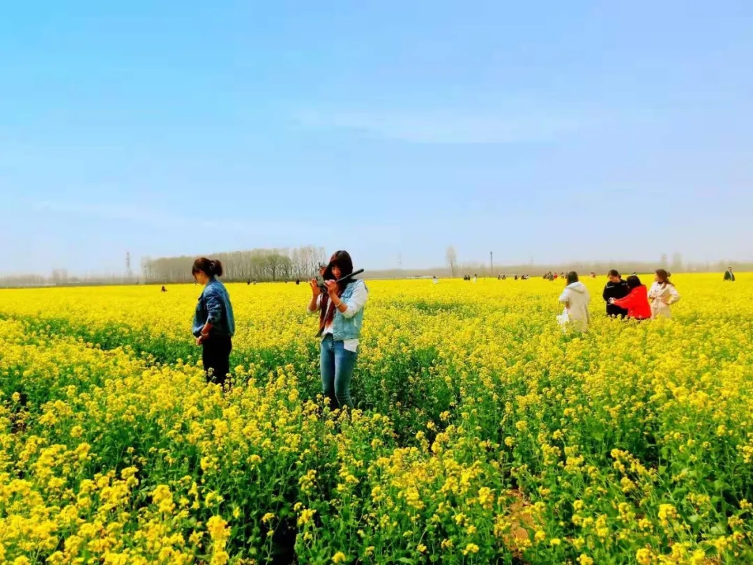 新乡南太行百名旅游大使打卡冀屯向阳花海，助力乡村文旅发展