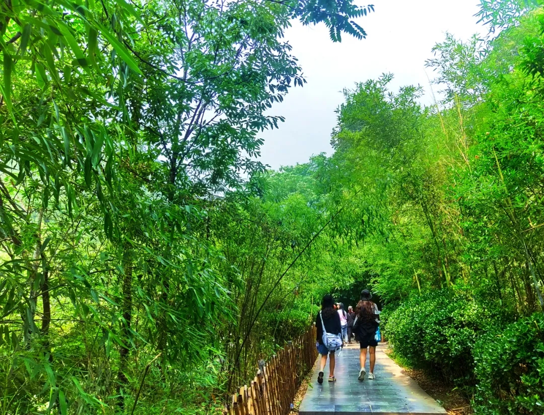 高温预警！激情夏日，新乡南太行比高温更嗨~