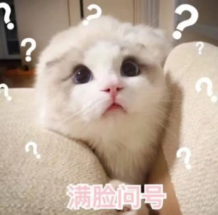 一个新的网红打卡地即将刷爆你的朋友圈/ 一个新的网红打卡地即将刷爆你的朋友圈