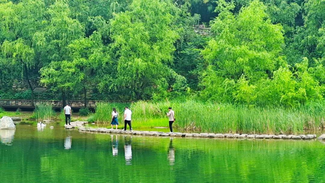 盛夏登场，来新乡南太行清凉一夏吧！