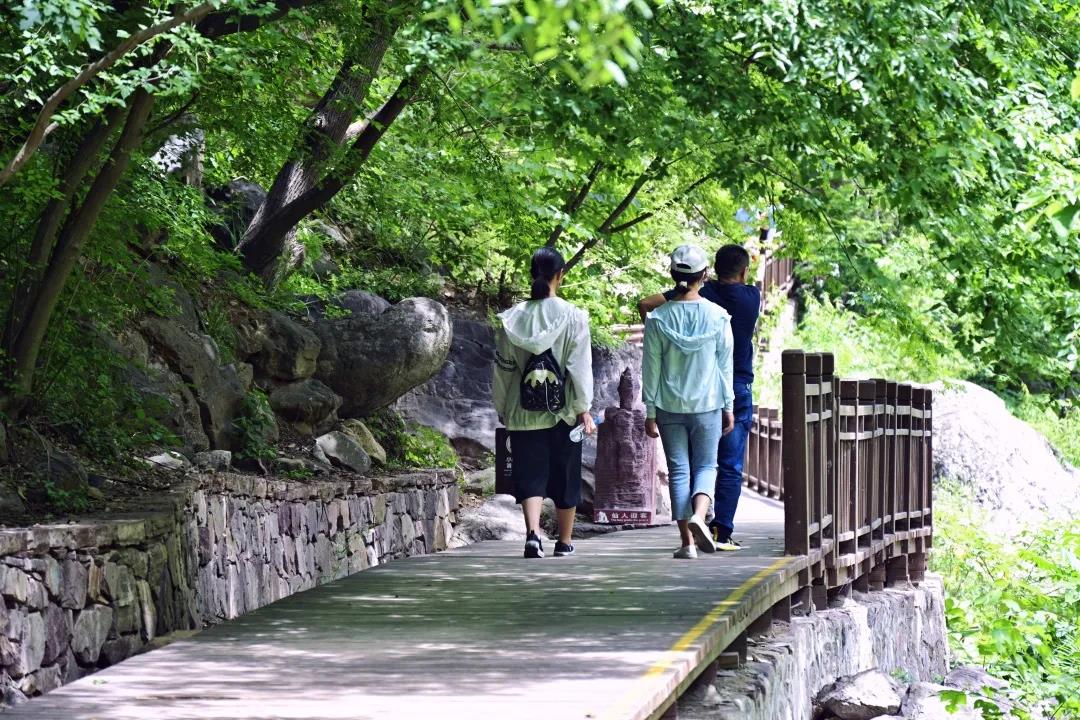 叮咚~你有一份夏日邀请正在派送......
