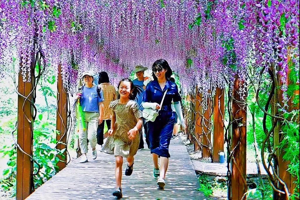 盛夏时节，愿你度过一个愉快的夏天。
