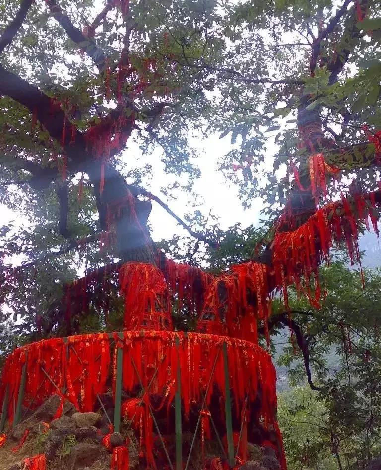 新乡南太行|爱情有千万种模样，这应该是最美的一种！