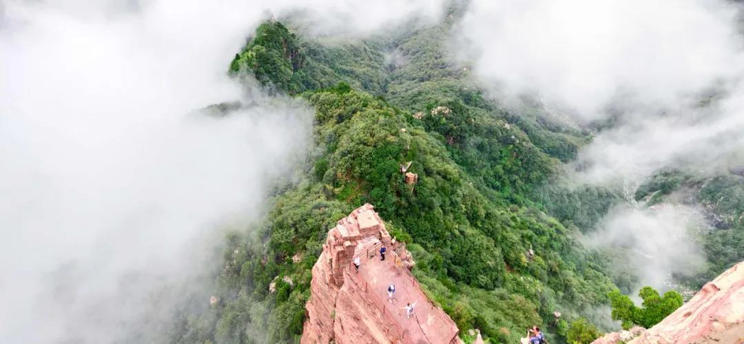 新乡南太行直播预告！你想知道的问题这里统统都有！